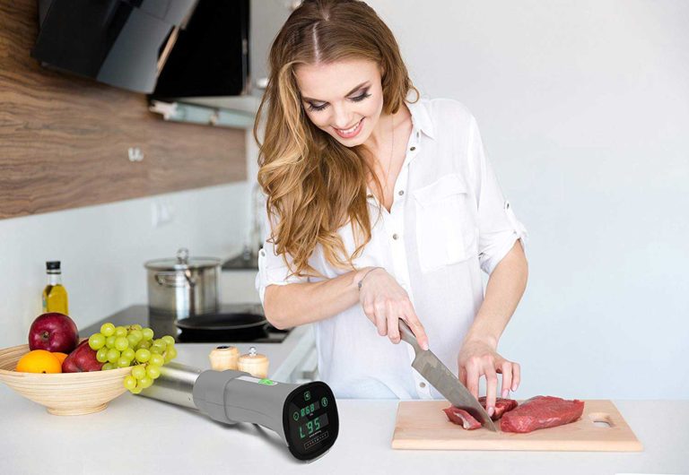 Best Sous Vide Machine Reviews