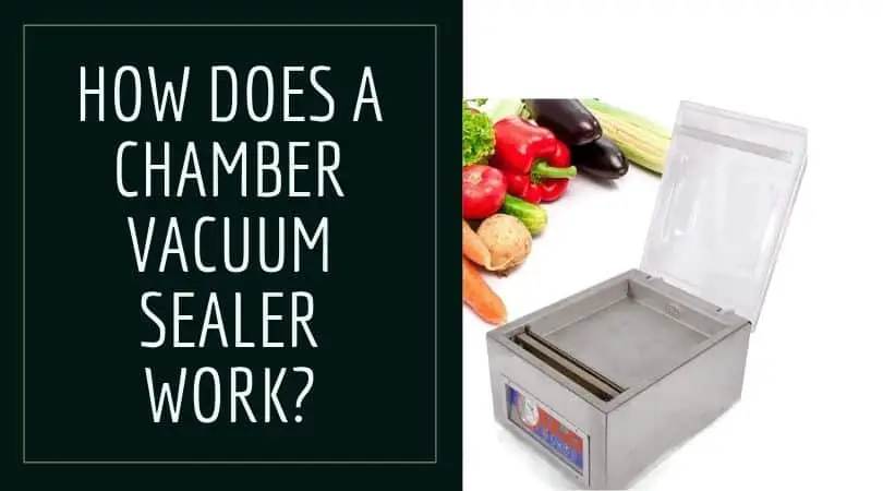 Chamber Vacuum Sealer