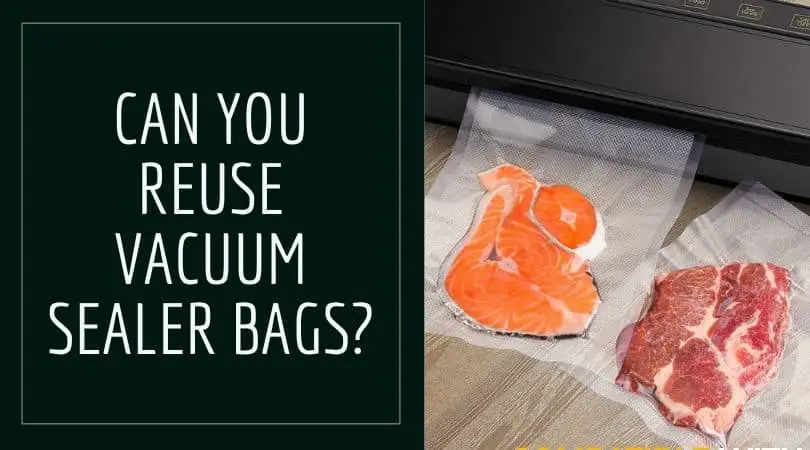 Reuse Vacuum Sealer Bags