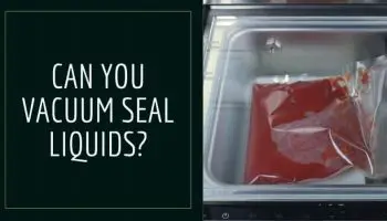11 Best Vacuum Sealer for Liquids