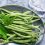 Can You Vacuum Seal Green Beans? – Know the Truth!