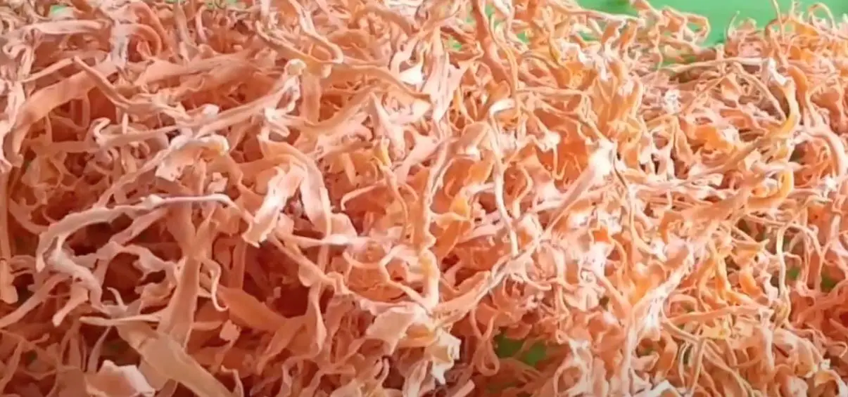  dehydrating carrots