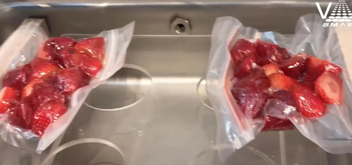  vacuum sealing fruits