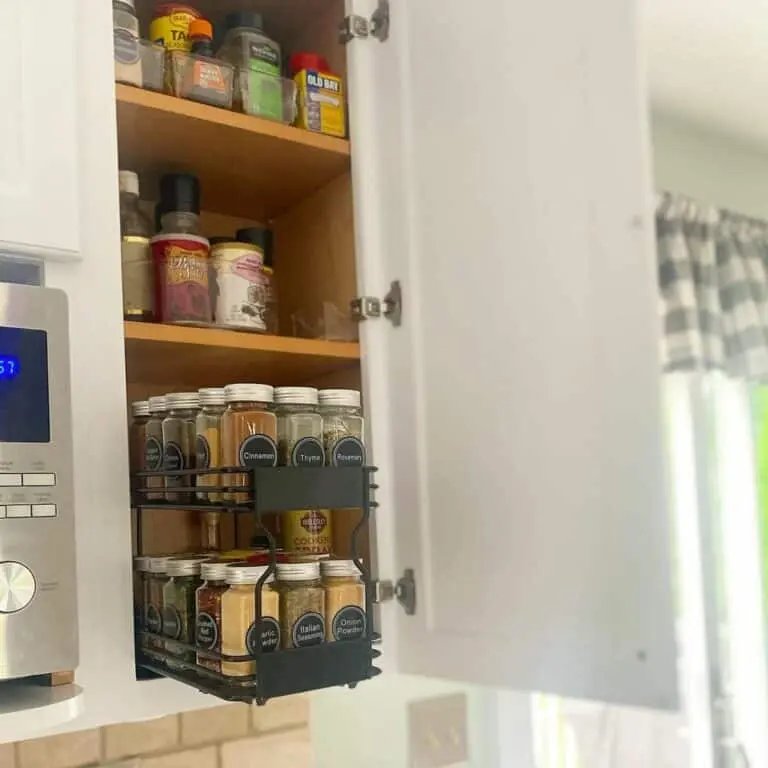 Pull-out spice organizer