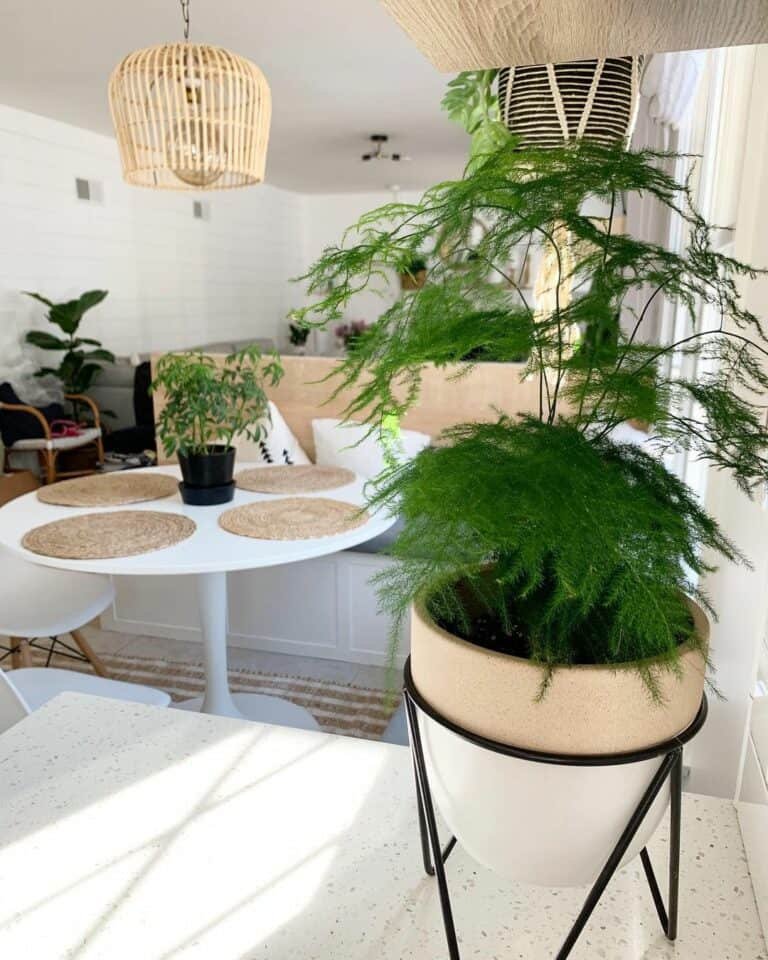 Rattan Light Kitchen Nook