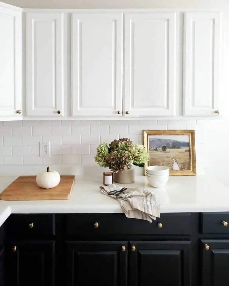 Royal Black and White Cabinets