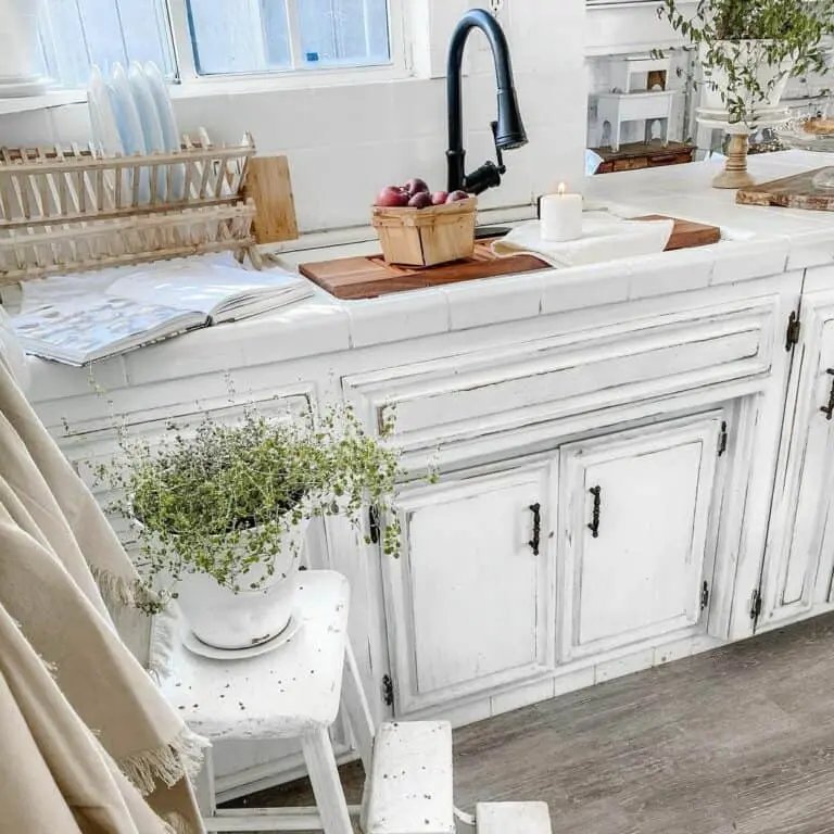 Vintage kitchen with plants